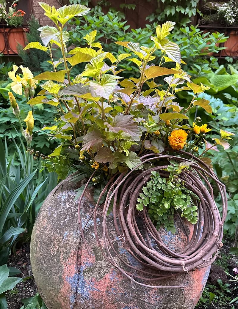 Контейнери Говарда весною в Чикаго - Fine Gardening