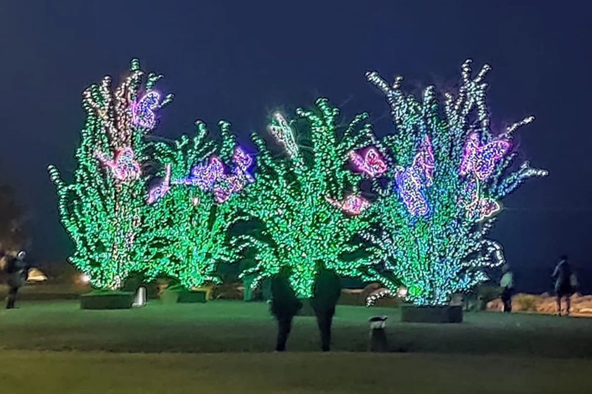 Новорічна магія в «Giardino Nuttate de Luna» 2023