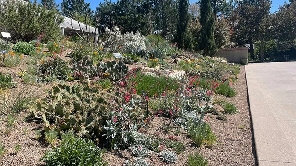 GPOD на дорозі: Денверський ботанічний сад навесні - Fine Gardening
