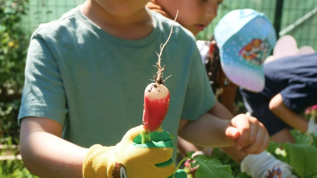 Як залучити дітей до природи через gardening?
