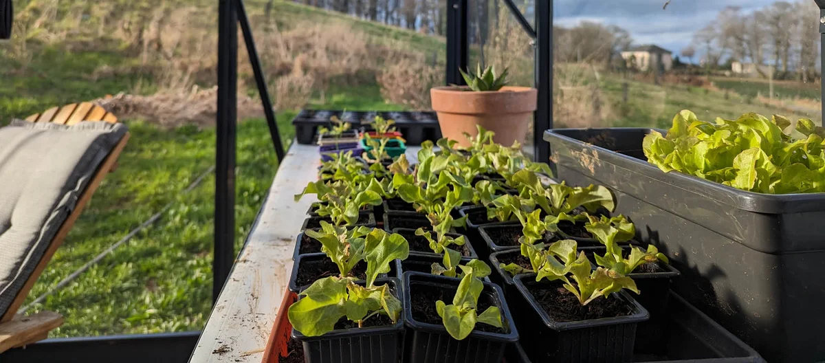 Посіви лютого на городі | Terra Potager