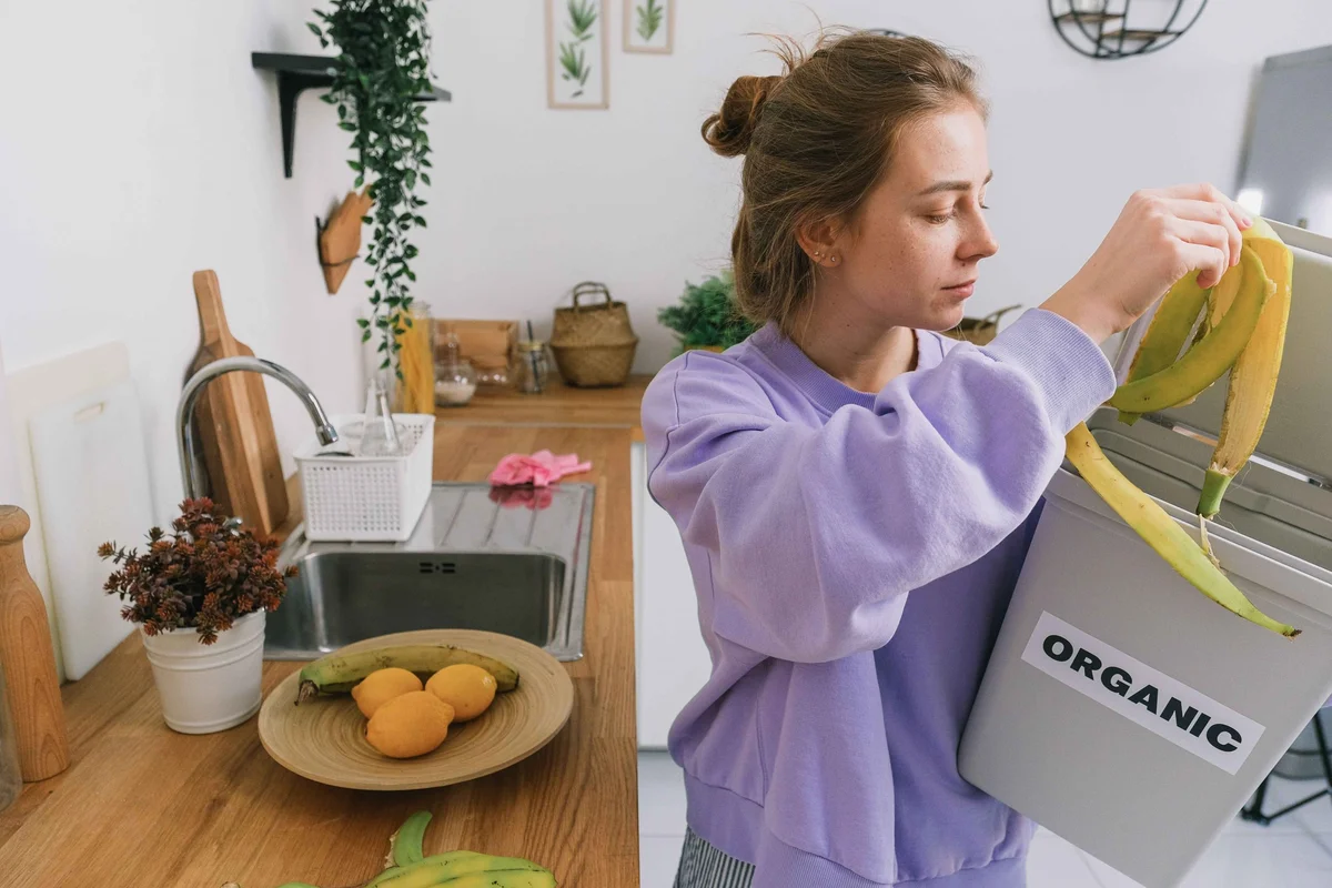 Перетворіть відходи з кухні на золото для саду цієї зими | SA Garden and Home