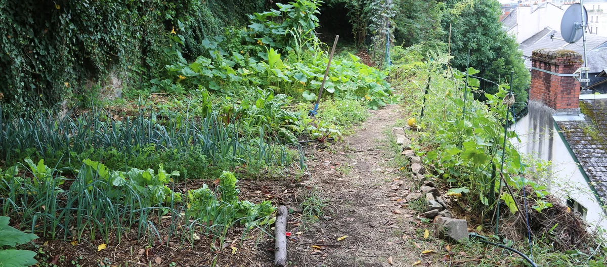 Почати город | Terra Potager