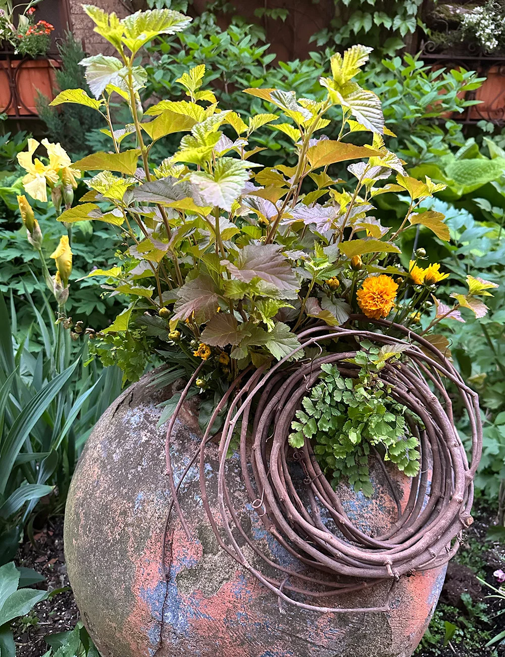 Контейнери Говарда весною в Чикаго - Fine Gardening
