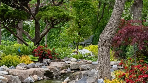 Плани посадки для лісового саду, наповненого текстурою - Fine Gardening